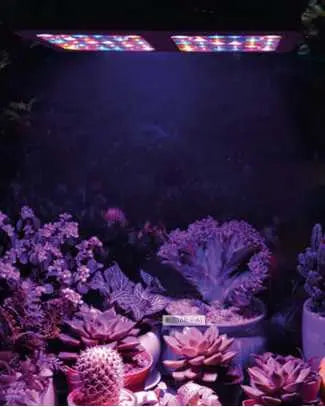 Megaphoton Grow Tent Kit & 2 LED Grow Lights, 8ft x 4ft x 6.5ft