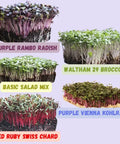 Microgreens Seed Refill for 5" x 5" Trays | 5 Varieties for Growing Fresh Greens