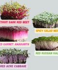 Microgreens Seed Refill for 5" x 5" Trays | 5 Varieties for Growing Fresh Greens