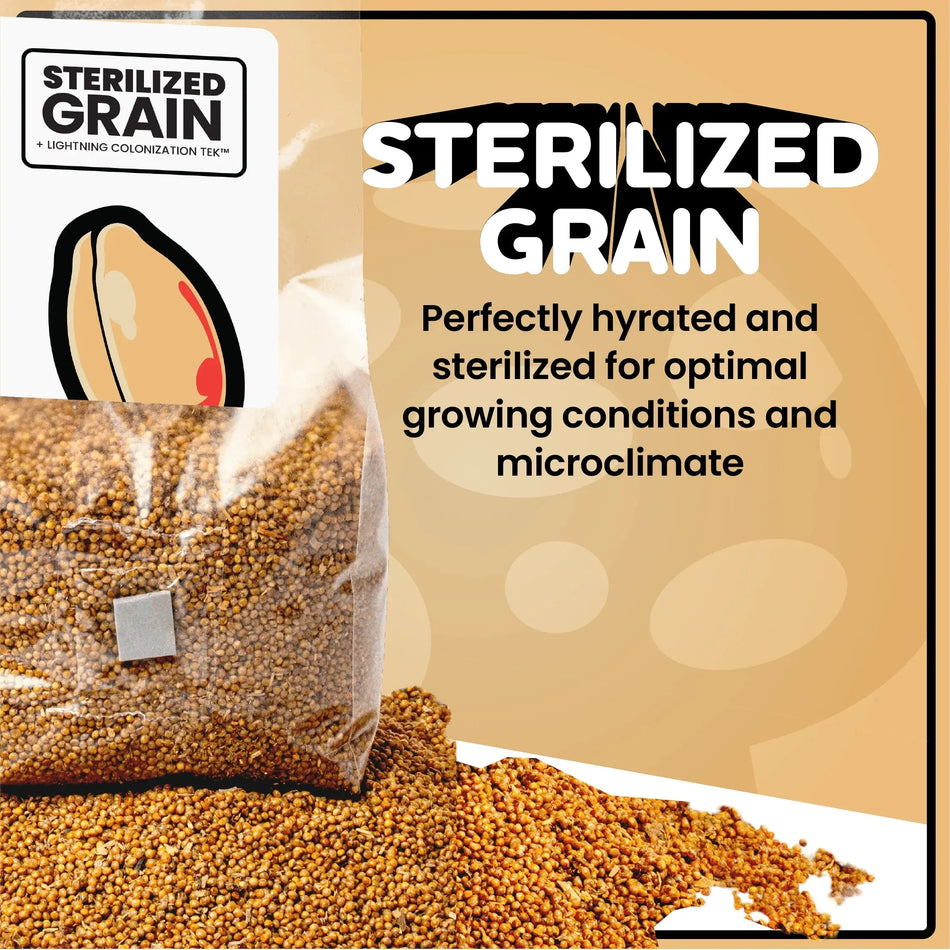 Mushroom Supplies® Sterilized Grain for Mushroom Spawn, 3lbs