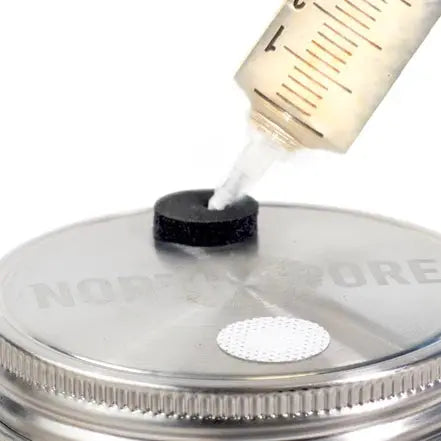 NORTH SPORE 'Regular Mouth' Culture Jar Lid with Port & Filter | Pack of 6