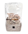NORTH SPORE 'ShroomTek' All-In-One Mushroom Grow Bag