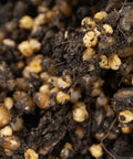 NORTH SPORE 'ShroomTek' All-In-One Mushroom Grow Bag, 3lb