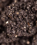 NORTH SPORE CVG (Coco Vermiculite Gypsum) Sterile Bulk Substrate, 5lb