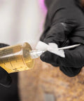 NORTH SPORE Liquid Culture Kit - 30x Syringe Multiplier