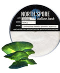 NORTH SPORE Luminescent Mushroom Plate Culture