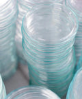 NORTH SPORE Medical-Grade Sterile Petri Dishes, Pack of 10