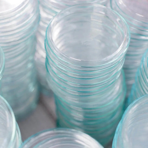 NORTH SPORE Medical-Grade Sterile Petri Dishes, Pack of 10