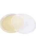 NORTH SPORE Pre-Poured Sterile Agar Plates for Mushroom Cultures, Pack of 10