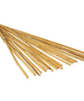 Natural Bamboo - 15-17mm Diameter - 6ft Bamboo Stake