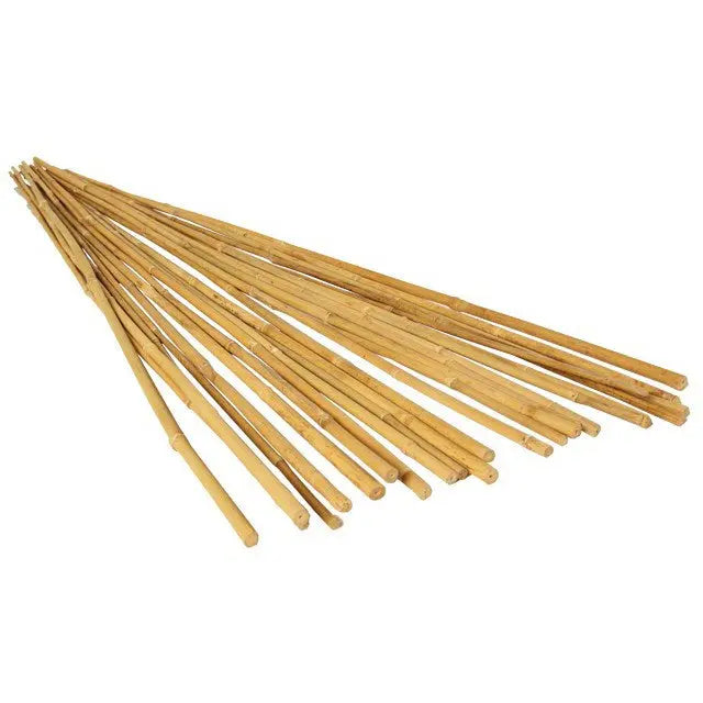 Natural Bamboo - 15-17mm Diameter - 6ft Bamboo Stake