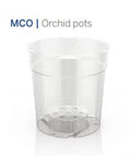 Pöppelmann Translucent Orchid Pot, 6" x 4.875"