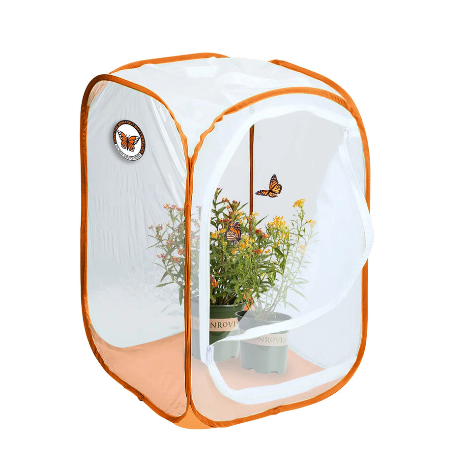 Panacea Monarch Habitat Pop Up Mesh Incubator