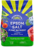 Pennington Epsom Salt Plant Nutrient, 7 lb