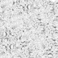 Perlite #3 Big Chunk Course Horticultural Grade OMRI