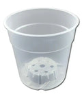 Pöppelmann MCO Translucent Orchid Pot, 4.5" x 4.5"