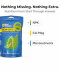Real Growers Grow Dots 16-8-11 Time Release Nutrients