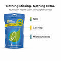 Real Growers Grow Dots 16-8-11 Time Release Nutrients