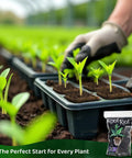Root Riot Starter Plug Cubes | Pack of 1500