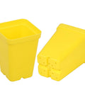 SUNPACK 2.5" Heavy Duty Seed Starter Square Pot | Assorted Colors