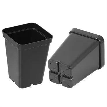 SUNPACK 2.5" Heavy Duty Seed Starter Square Pot | Assorted Colors