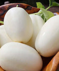 Seed Savers Exchange Cucumber, Dragon's Egg