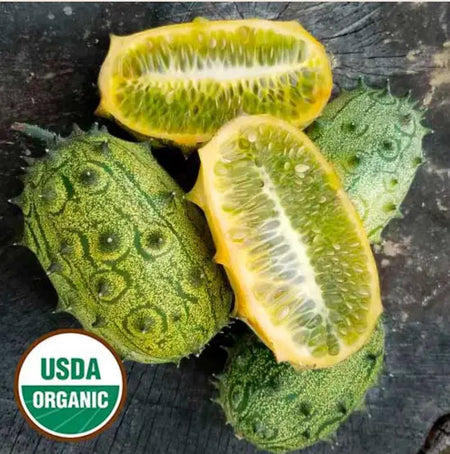 Seed Savers Exchange Cucumber, Jelly Melon (Organic)