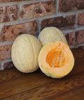 Seed Savers Exchange Melon, Amish (Organic)