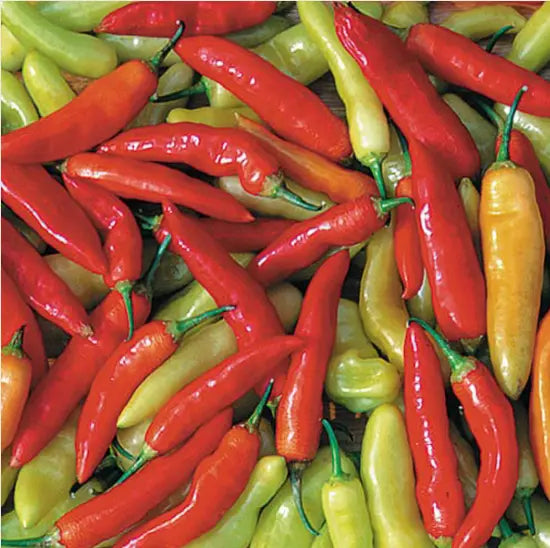 Seed Savers Exchange Pepper, Aji Cristal