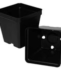 T.O. Plastics Deep Square Pot, 3.5in L x 3.52in W x 3.5in H