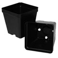 T.O. Plastics Deep Square Pot, 3.5in L x 3.52in W x 3.5in H