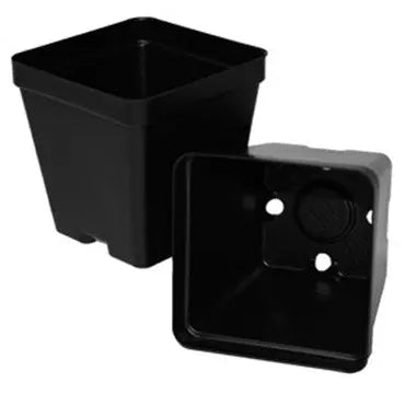 T.O. Plastics Deep Square Pot, 3.5in L x 3.52in W x 3.5in H