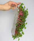VEGBED® Grow Mats 10in x 20in | Made with Premium Bamboo Fibers