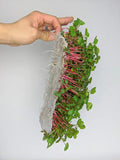 VEGBED® Grow Mats 10in x 20in | Made with Premium Bamboo Fibers