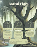 WILLOW WASH Organic Saponified Silicon Replacement (Root Drench or Foliar)