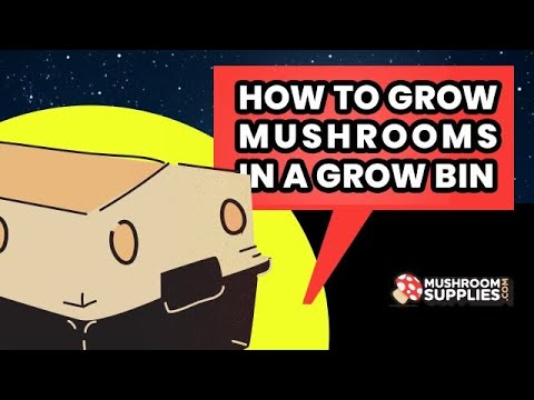 Mushroom Supplies Substrate for Dung-Loving Mushrooms, 5lbs