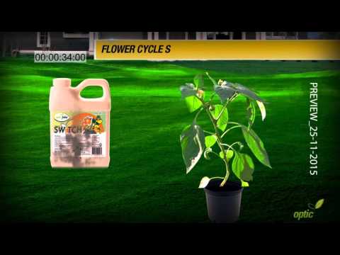 Optic Foliar Switch, Bloom Set Trigger