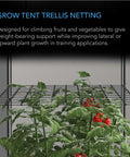 AC Infinity GROW TENT TRELLIS NETTING, FLEXIBLE ELASTIC CORDS, 2'x4 AC Infinity