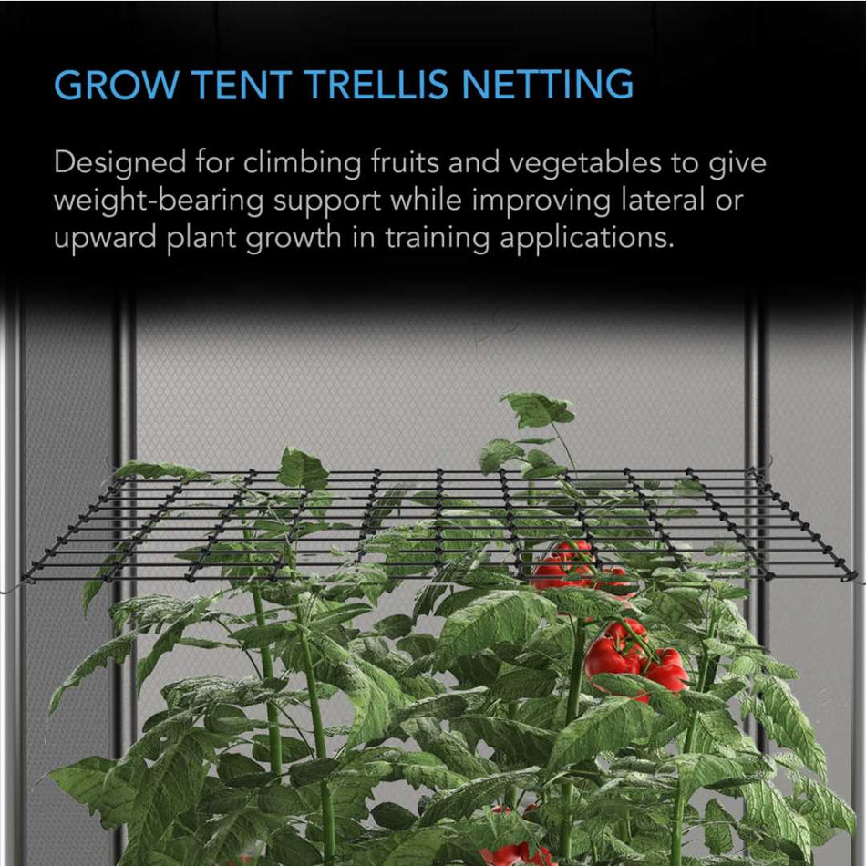 AC Infinity GROW TENT TRELLIS NETTING, FLEXIBLE ELASTIC CORDS, 2'x4 AC Infinity