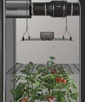 AC Infinity GROW TENT TRELLIS NETTING, FLEXIBLE ELASTIC CORDS, 2'x4 AC Infinity
