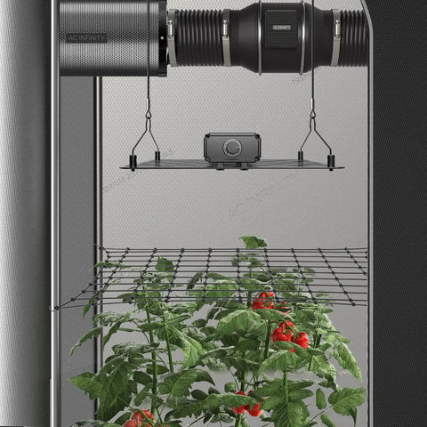 AC Infinity GROW TENT TRELLIS NETTING, FLEXIBLE ELASTIC CORDS, 3'x3 AC Infinity