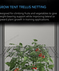 AC Infinity GROW TENT TRELLIS NETTING, FLEXIBLE ELASTIC CORDS, 4'x4 AC Infinity