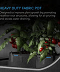 AC Infinity HEAVY DUTY FABRIC POTS, 10 GALLON, 5-PACK AC Infinity