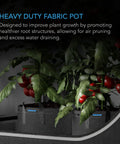 AC Infinity HEAVY DUTY FABRIC POTS, 5 GALLON, 5-PACK AC Infinity