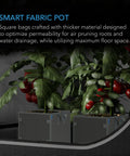 AC Infinity HEAVY DUTY SQUARE FABRIC POTS, 3 GALLON, 5-PACK AC Infinity