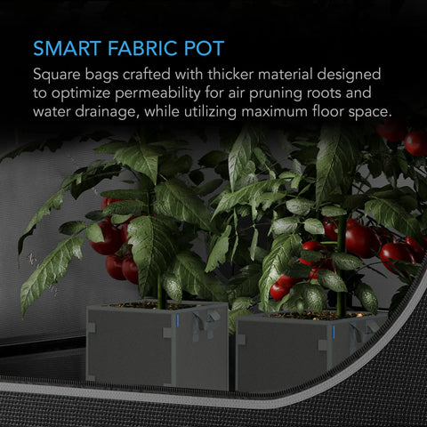 AC Infinity HEAVY DUTY SQUARE FABRIC POTS, 3 GALLON, 5-PACK AC Infinity