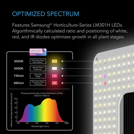 AC Infinity IONGRID T24, FULL SPECTRUM LED GROW LIGHT 260W AC Infinity