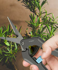 AC Infinity Stainless Steel Pruning Shear, Straight Blades, 6.6" AC Infinity