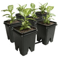 Active Aqua Grow Flow 2.0 Expansion Kit with 6 Square Pots, 5 Gal Active Aqua
