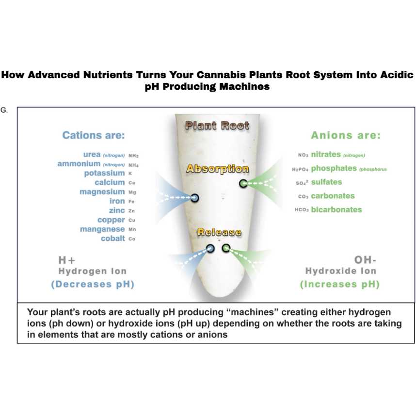 Advanced Nutrients POWDER Sensi Bloom A/B Pro, 5lb Advanced Nutrients